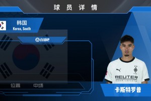 最新波黑对加拿大全场录像