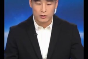 今日度播放蜘蛛全场录像