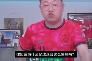 实时瑞典对阵荷兰全场录像
