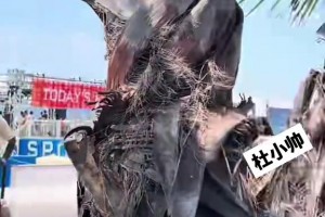 免费360体育最用心的体育低调看直播