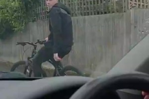 实时蜘蛛小狐狸带货在线观看