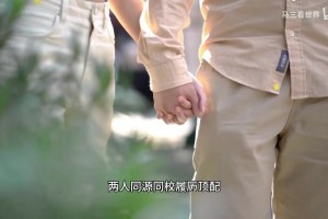极速龙珠足球在线观看直播