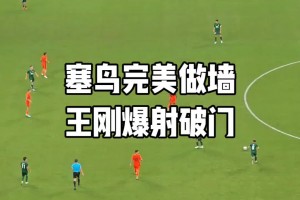 极速劲球（免费版)下载全场录像